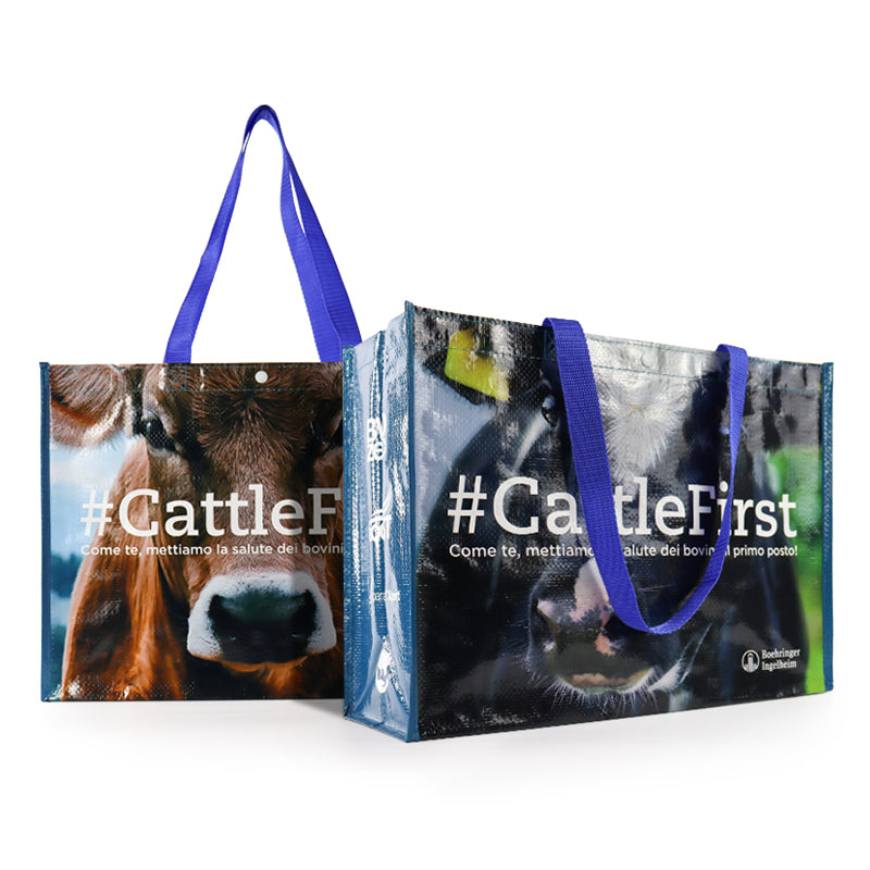 buy reusable grocery bags