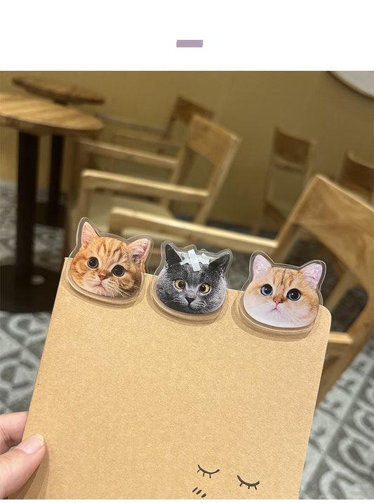 cat paper clips